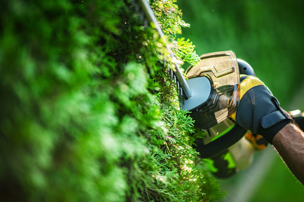 Tree Trimming & Hedge Shaping Minneola, Florida