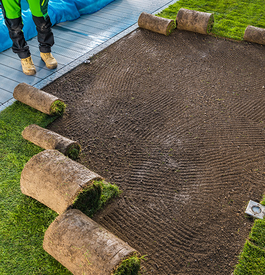 Sod and Turn Installation Minneola Florida